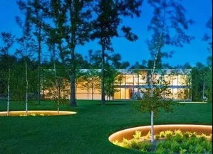 植物遇上灯光 不一样的夜间风情与旅游开发项目策划