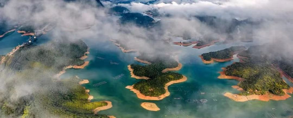 总投资约42亿元！永定区签约两大项目，擘画生态文旅新蓝图