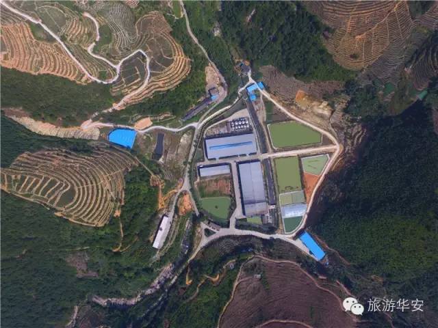 漳州| 厉害了!原来漳州有这么多"观光工厂",你听过吗?